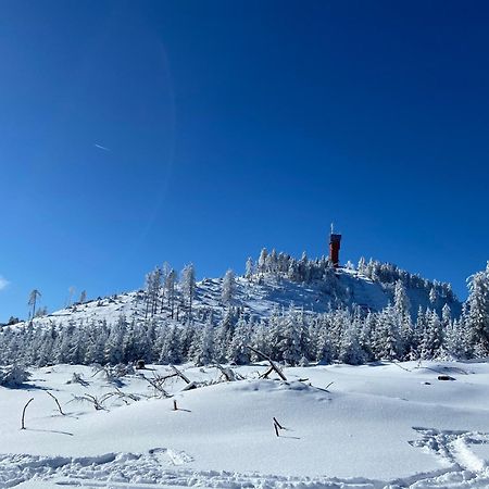 Bergtraum Braunlage Im Harz, 17 Gaeste, Sauna, Pool Villa Eksteriør bilde
