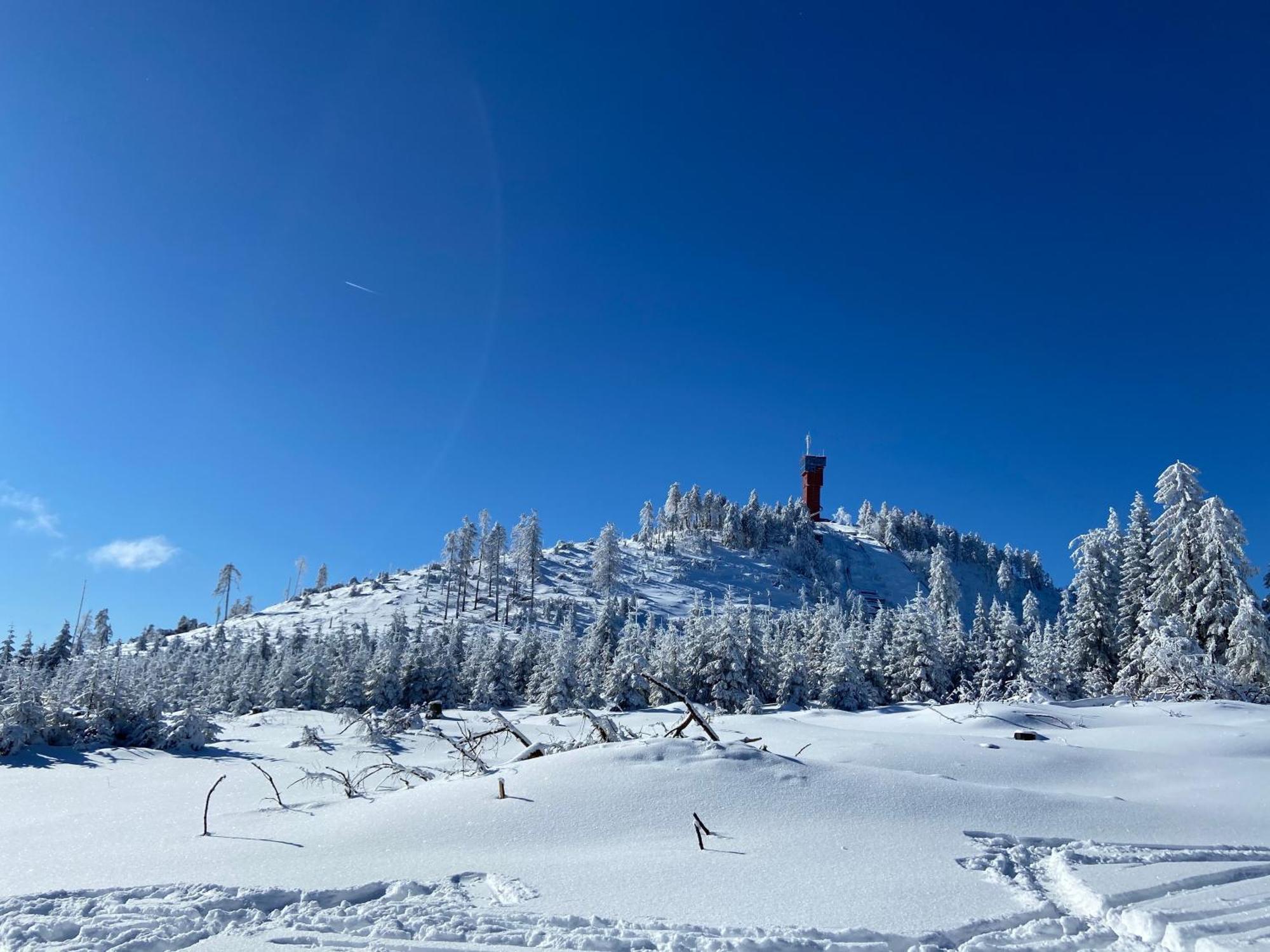 Bergtraum Braunlage Im Harz, 17 Gaeste, Sauna, Pool Villa Eksteriør bilde