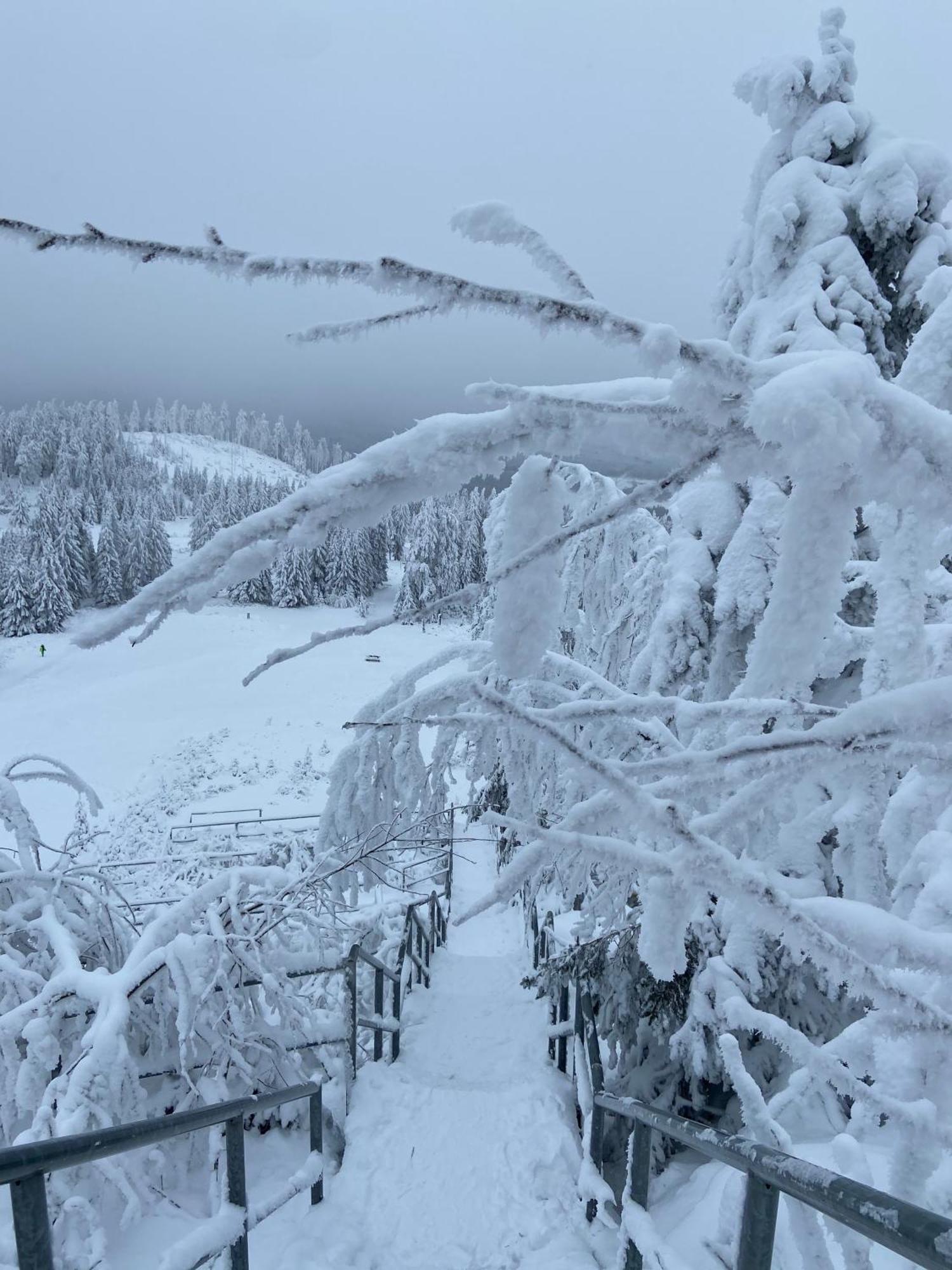Bergtraum Braunlage Im Harz, 17 Gaeste, Sauna, Pool Villa Eksteriør bilde
