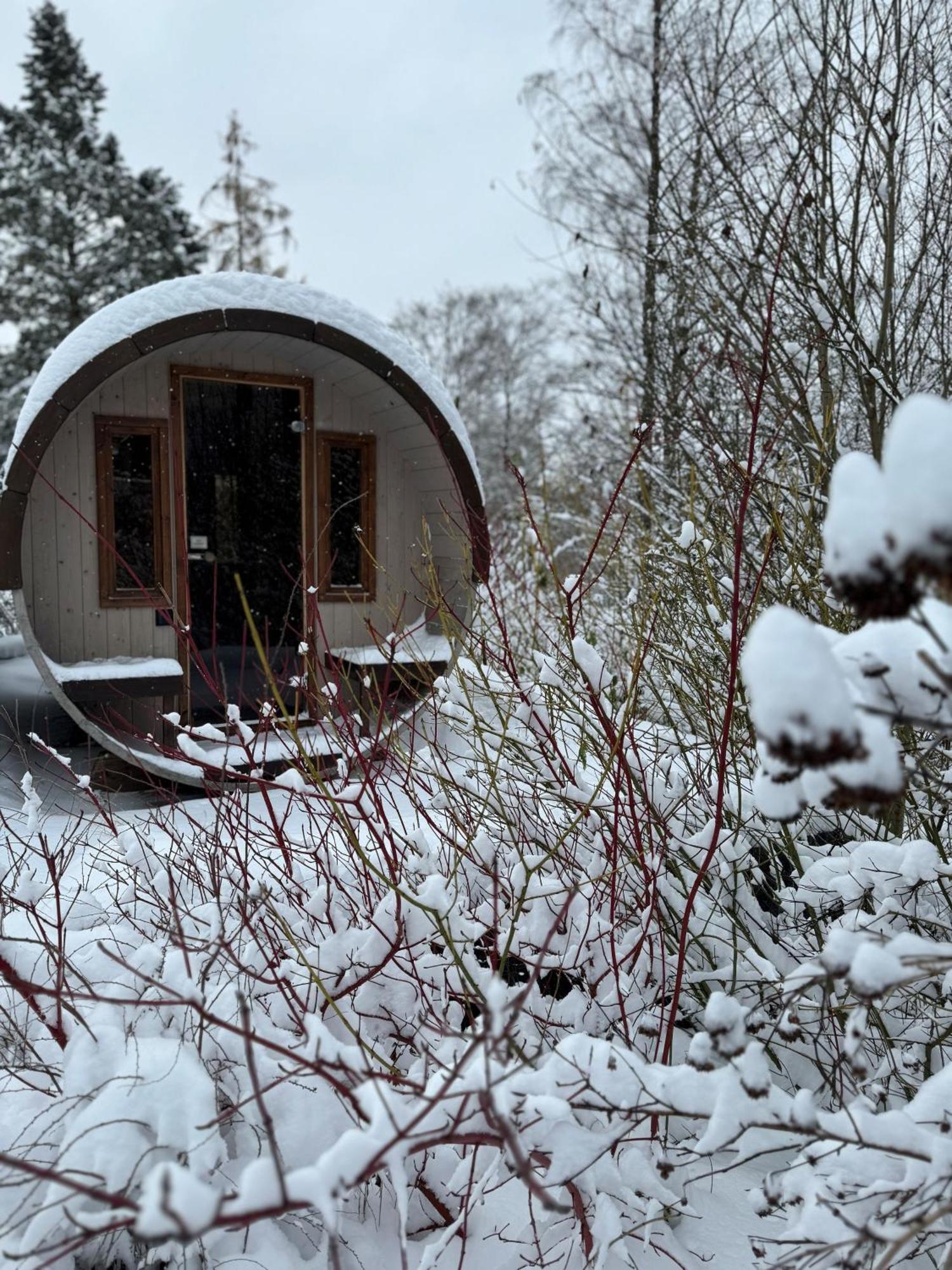 Bergtraum Braunlage Im Harz, 17 Gaeste, Sauna, Pool Villa Eksteriør bilde