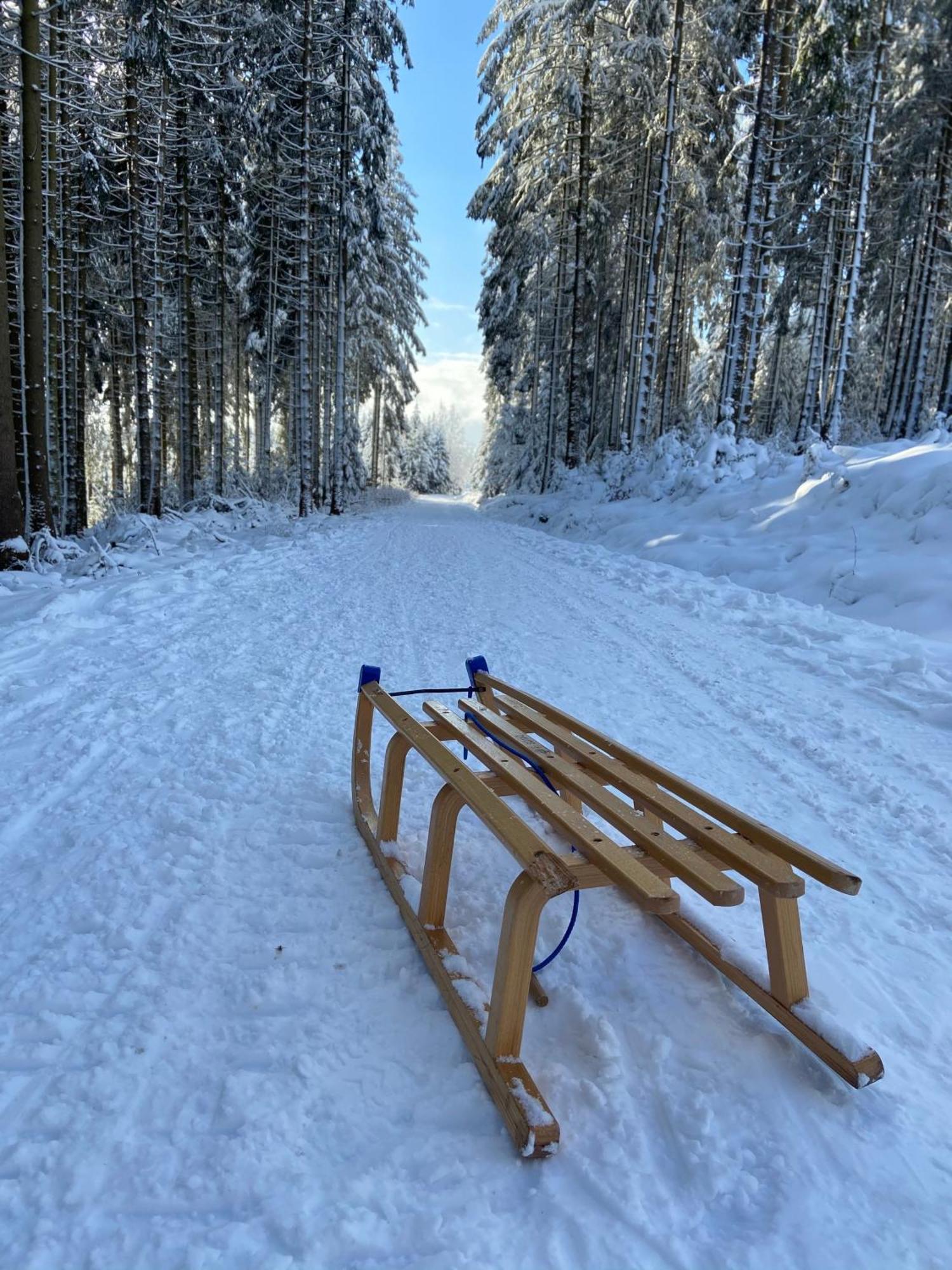 Bergtraum Braunlage Im Harz, 17 Gaeste, Sauna, Pool Villa Eksteriør bilde